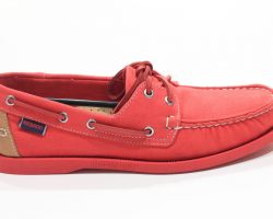 DPP_0345-min DPP_0345-min