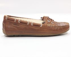 DPP_0351-min DPP_0351-min